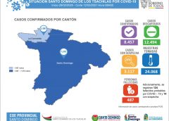 Cifras en torno a la emergencia sanitaria en Santo Domingo de los Tsáchilas, con corte al día viernes 12 de marzo del 2021. Fuente: COE Provincial SDT.